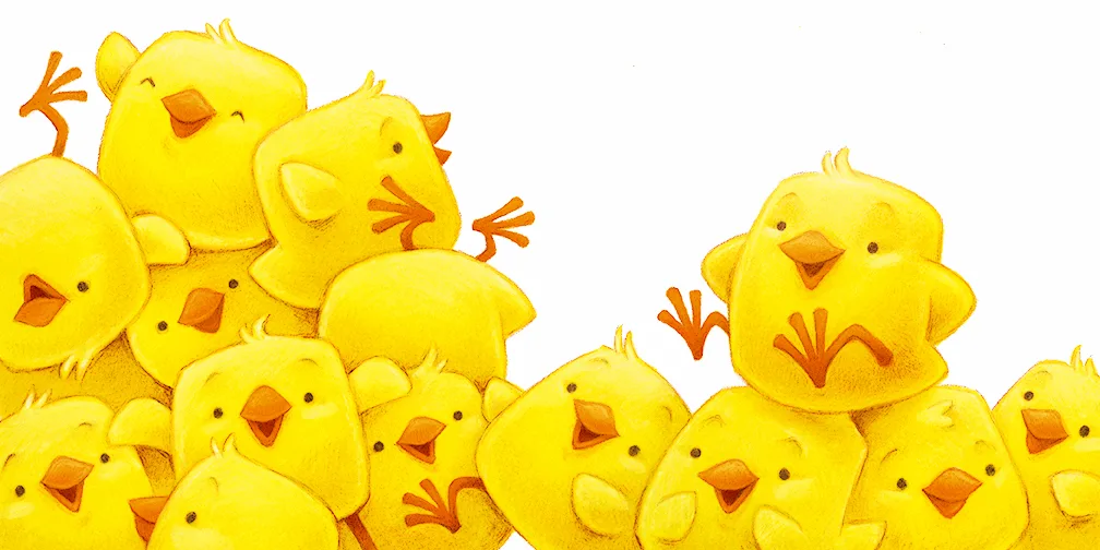 yellow chicks