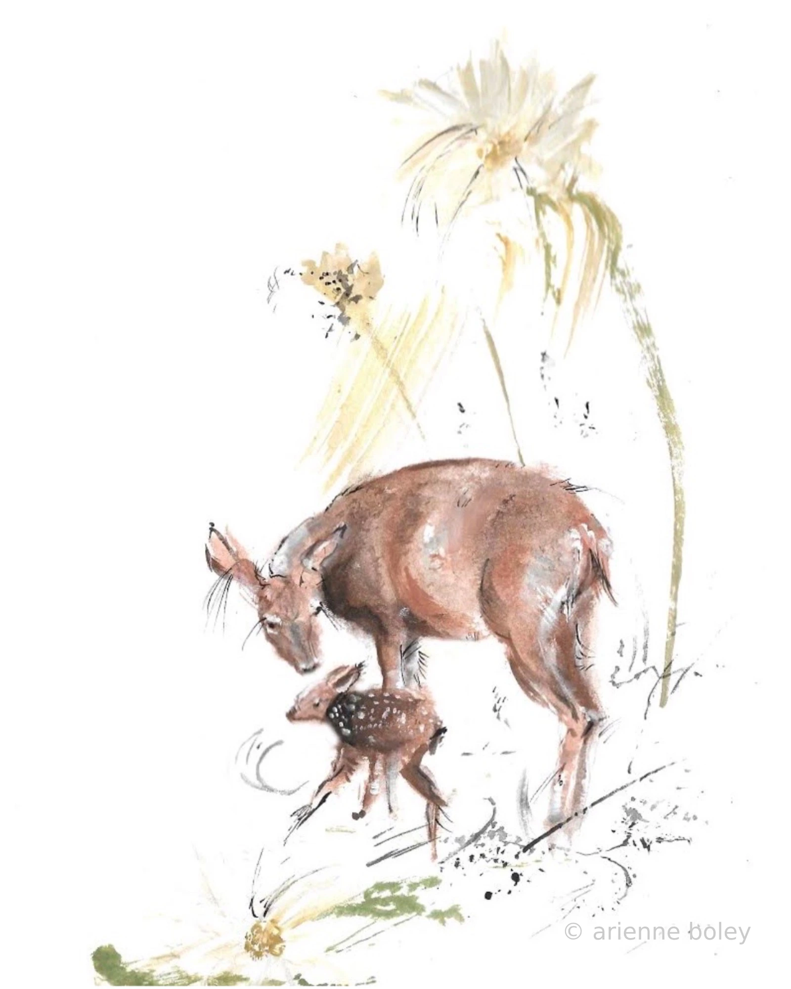 Artwork by Arienne Boley