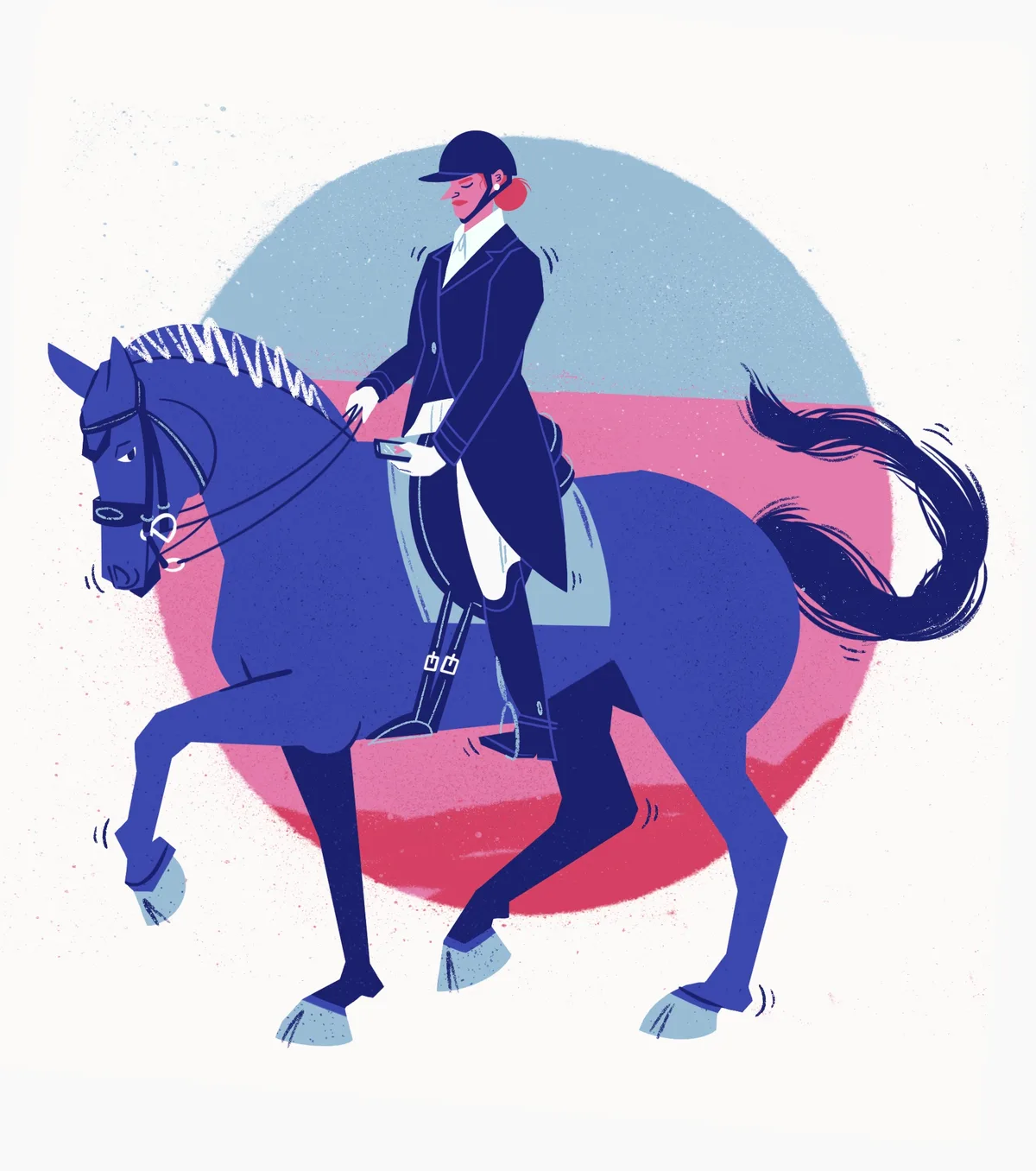 Dressage Distraction