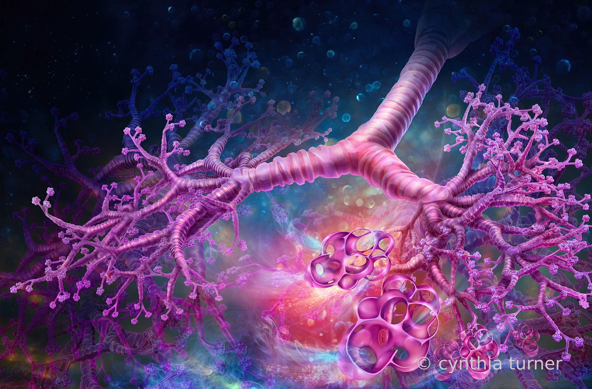 Artwork by Cynthia Turner