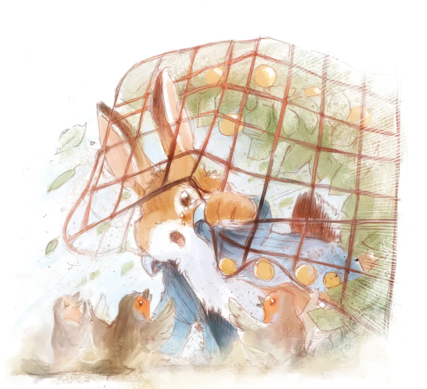 Scared rabbit stuck in net with birds trying to help