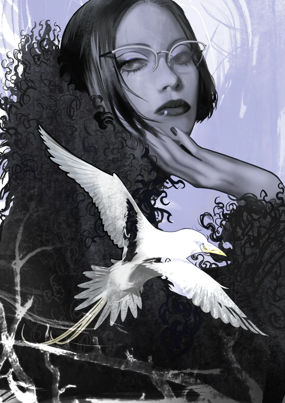 A Tropicbird